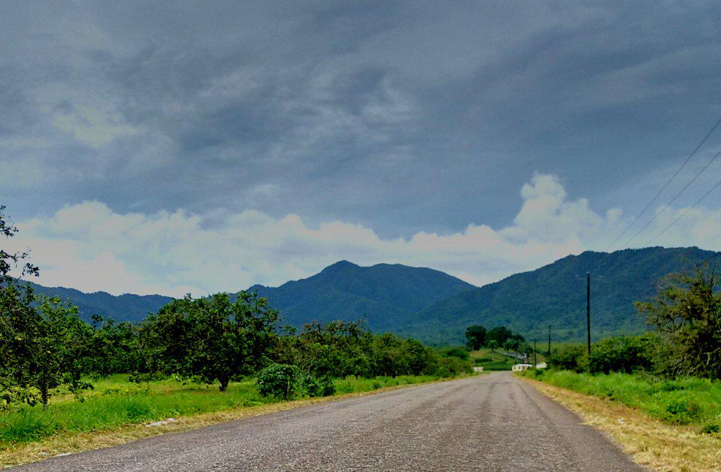 SabreWingBelize's tweet photo. There is no #rainforest without rain. So glad it's back. Mile 22 #hummingbirdhighway #Belize http://t.co/B14E8T7pOM