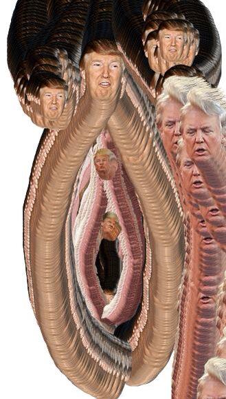 trump as a vag http://t.co/lVsukJTuLw