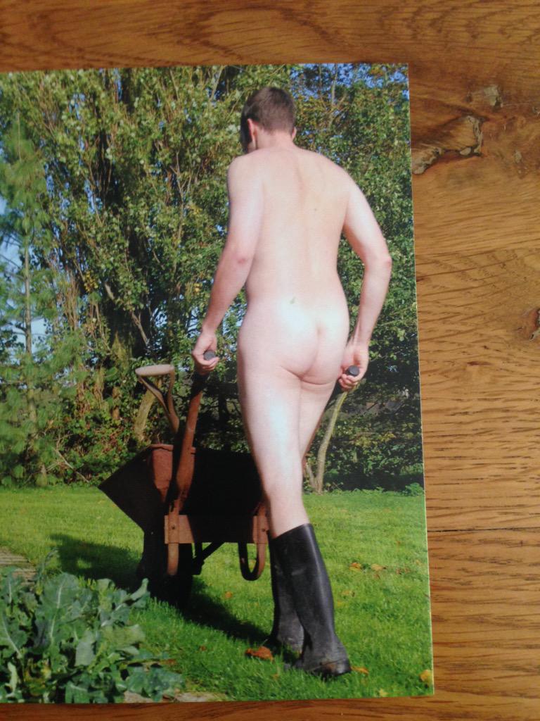 tim downes tweet media