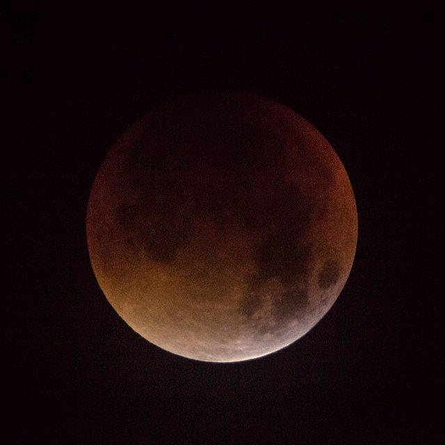 6dead6cult6's tweet photo. #bloodmoon #like #likeme #likemepost #likeforlikes #likeforfolow #likeforfollow #likeforlike #like4like #followback http://t.co/qc9xFQyogh
