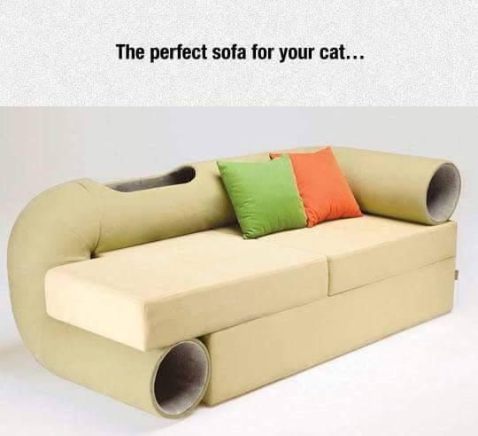 PillzPhn's tweet photo. @CatFoodBreath http://t.co/Zh3Ms4WMRZ