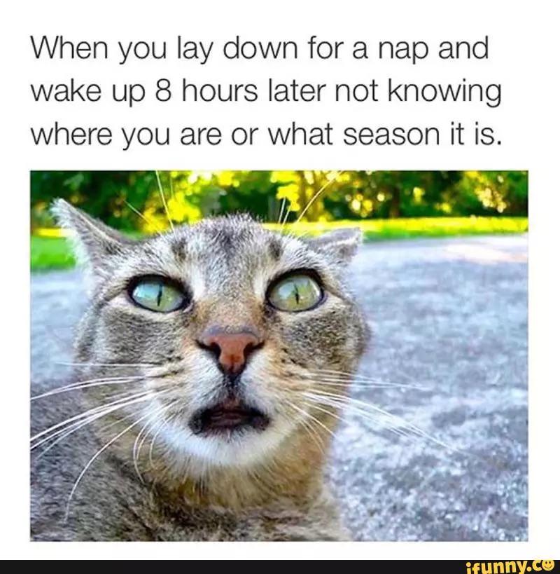 billy_bose's tweet image. #8hour #nap #wakemeupwhenseptemberends #iFunny ifunny.co/fun/bR1NGA9H3