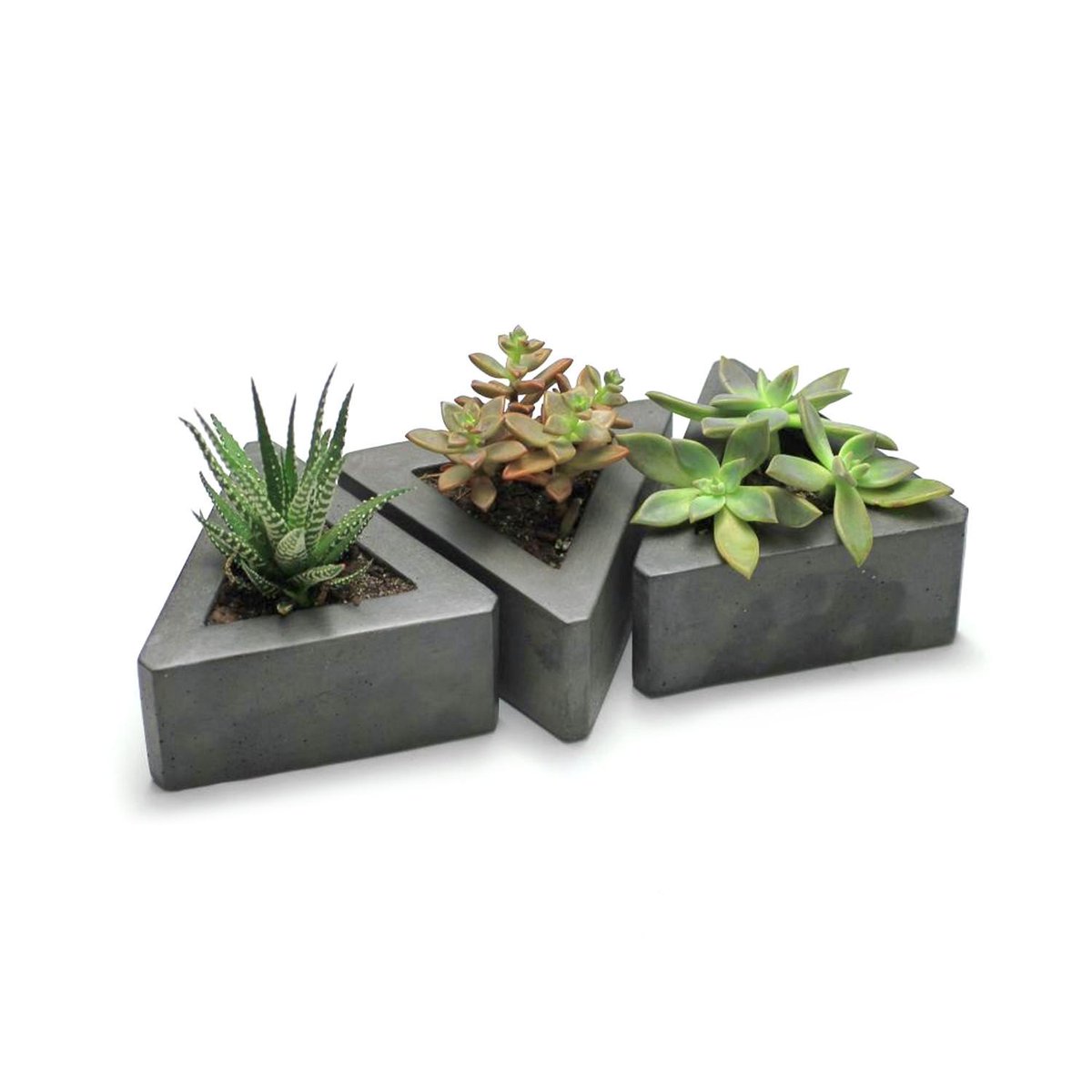 futuregift's tweet photo. Minimalist concrete planters from @RoughFusion #futuregift http://t.co/qWqYjImbNY