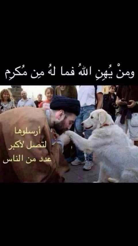alshareif_dr's tweet photo. هذامستواكم أيها الحاقدون.لايكن طموحكم أكبر من تقبيل أيدي الحيوانات وقتل الأبرياء والخيانات والفساد.
حفظ الله الحرمين http://t.co/457MMWz3E1