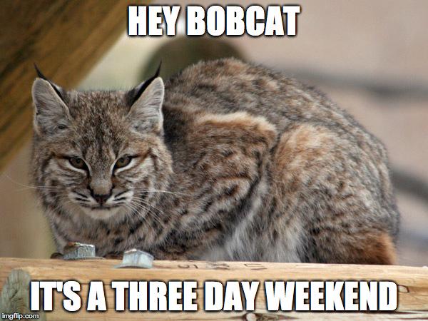 OHIO_Housing's tweet photo. #HeyBobcat, good luck this week. http://t.co/dUKc62p9Lk