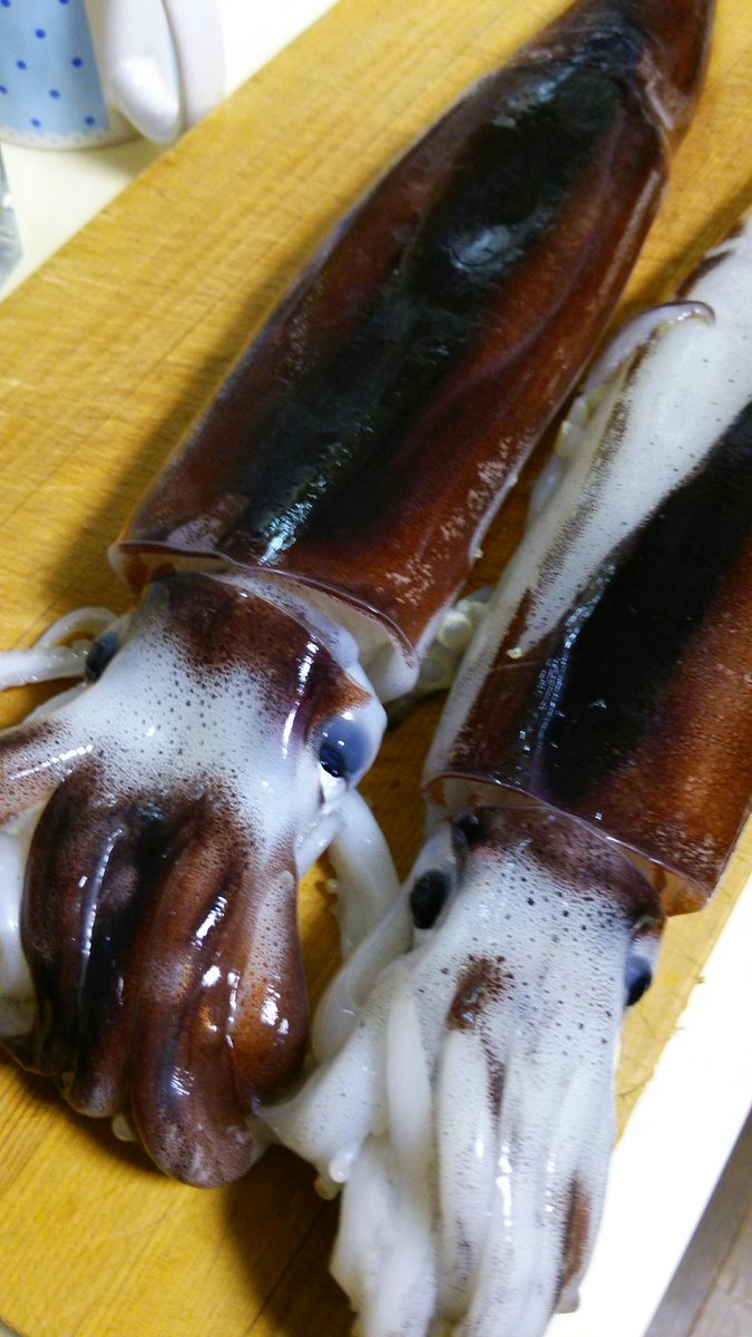 魚屋さん ワクチン Toshi Tosshi N スーパーなどで 生するめいか と表記されている刺身は生のイカを人が寄生虫などをとって商品化しています するめいか 解凍 と表記されているものは工場で加工したものを使用して商品を作っています 続きます