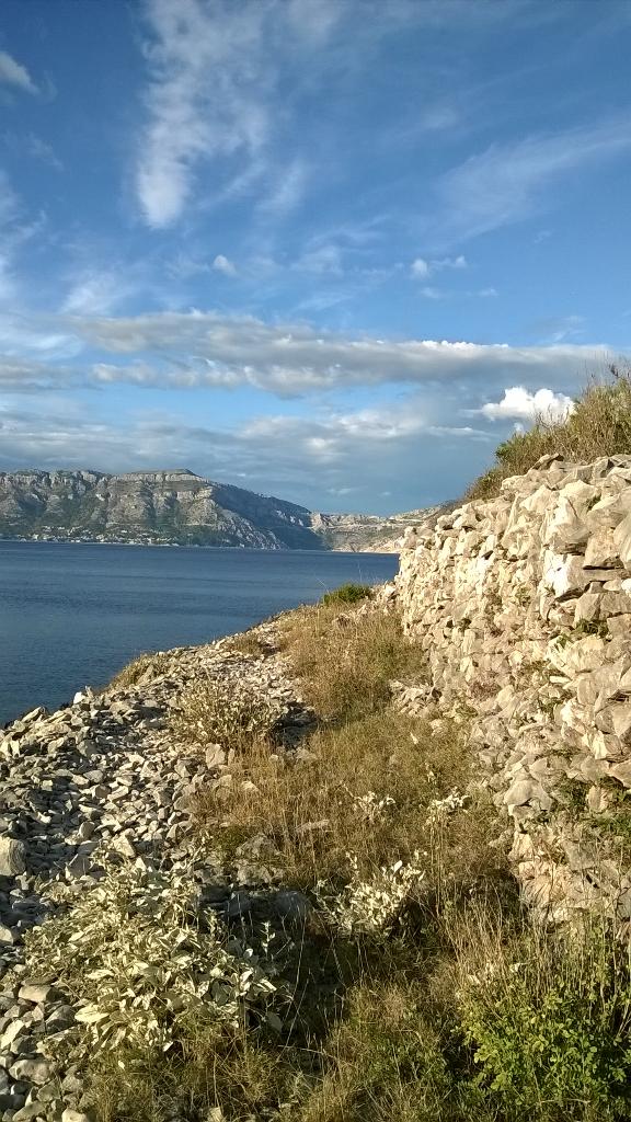 Rakugarden's tweet photo. Evening walk with my dogs, who are already in the sea #Rakugarden #povlja #croatia http://t.co/wqfkblAvUD