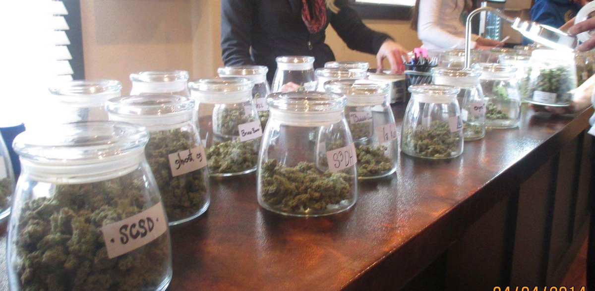 usaWEEDorg's tweet photo. #420friendly @ColoHighlife is ready to take you on a #420adventure. #usaweed is your place for #cannabis travel info http://t.co/DMvYEeLyfq