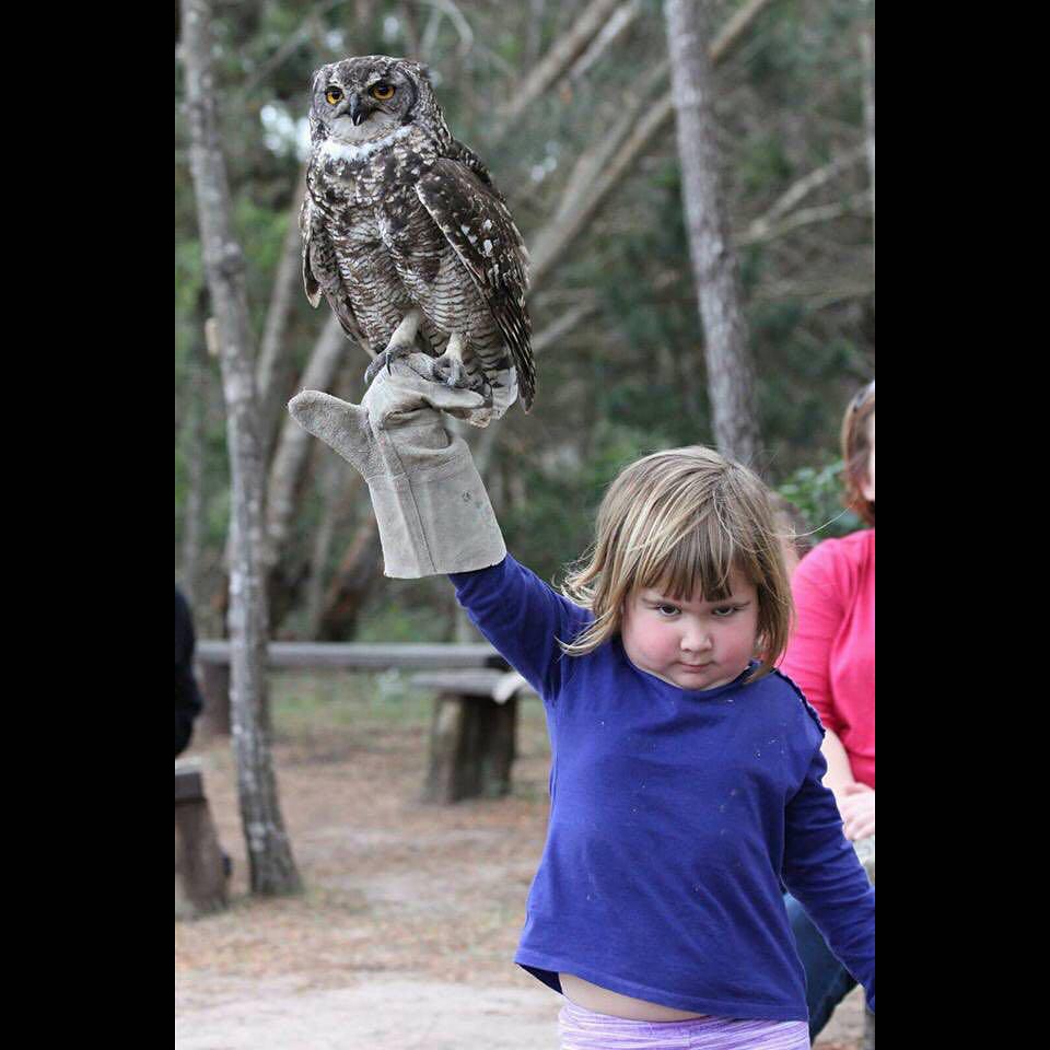 bintlbled's tweet image. How I'm going to approach this week. #3exams #2papers #1quiz #0chill