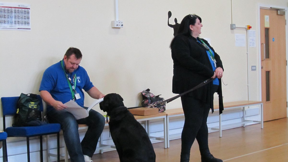 MissScott642's tweet photo. Dee and guide dog Syd- he knew that Y6 didn't have any treats for him, so he sat with his back to them! @AndertonPark http://t.co/6w4pNakfiu