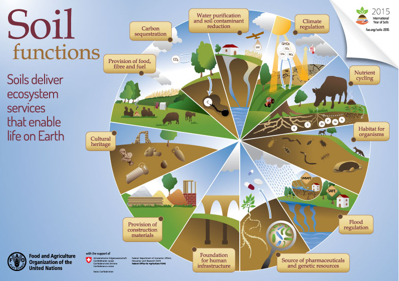 FAOKnowledge's tweet photo. #Soils deliver ecosystem services that enable life on Earth. 11 soil functions: http://t.co/5T8Fwscx21 #IYS2015 http://t.co/uSniqSETBh