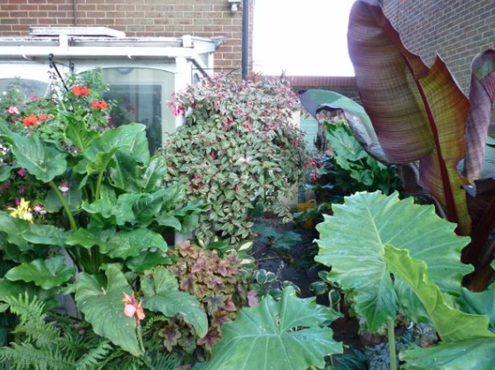 The_RNRS's tweet photo. Congratulations to our Head Gardener winning Best Hanging Baskets #DunstableInBloom #rnrs #hangingbaskets http://t.co/3nhyeRzZqZ