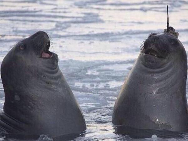 StumblerTop's tweet photo. When you and your best friend say the same thing at the same time http://t.co/exKOpExtUo