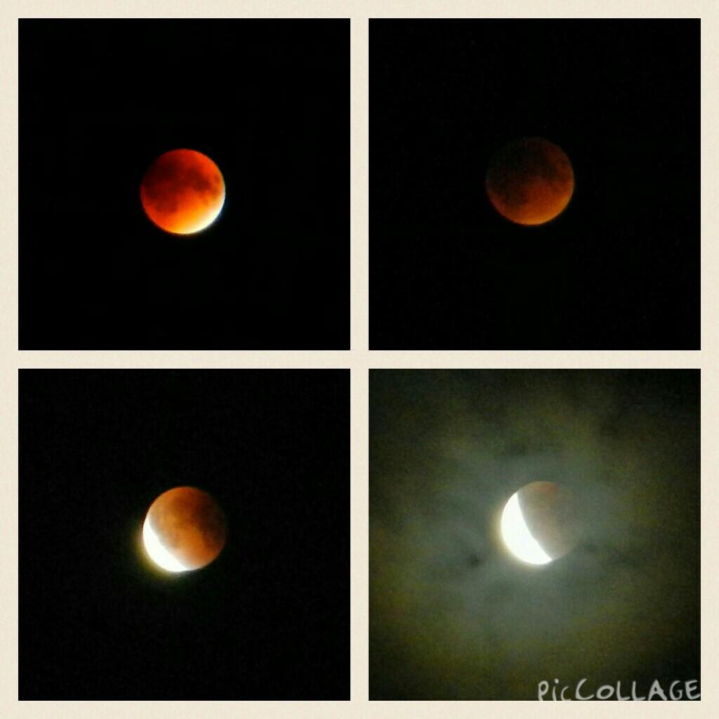 vinkim's tweet image. @weathernetwork @NicoleKarkic @MurphTWN #SupermoonEclipse2015  collage first 2 #PortStanley last 2  #London #Ontario