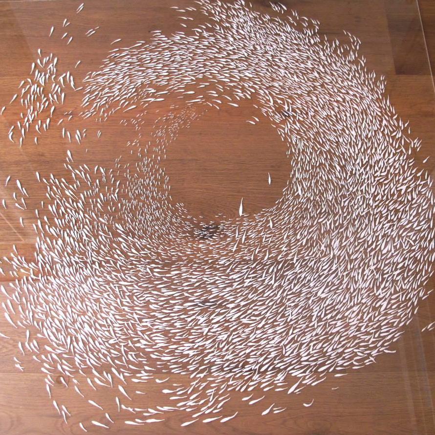 dig_that_pony's tweet photo. Shoal, pen on perspex, 880x890mm. #art #artist #fineart #drawing #fish #shoal #spiral #spiralpattern #whitstable http://t.co/96tWor8s1d