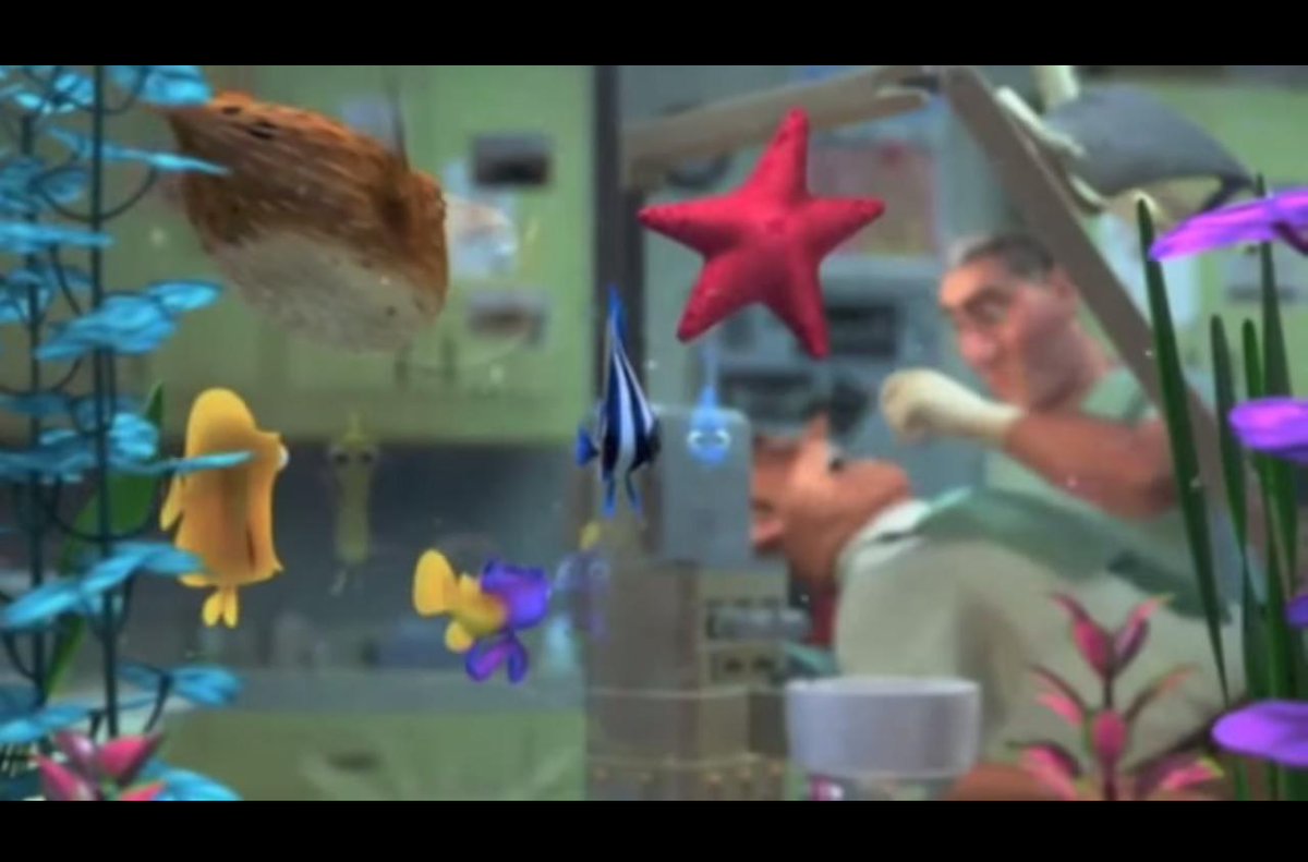 dunesdental's tweet photo. Its #FishTankFloorshowNight tonight. Who enjoy's the show more us or the fish?! #Dentist #Fishtank #Nemo #Fish #tooth http://t.co/AWCX4aVfkS