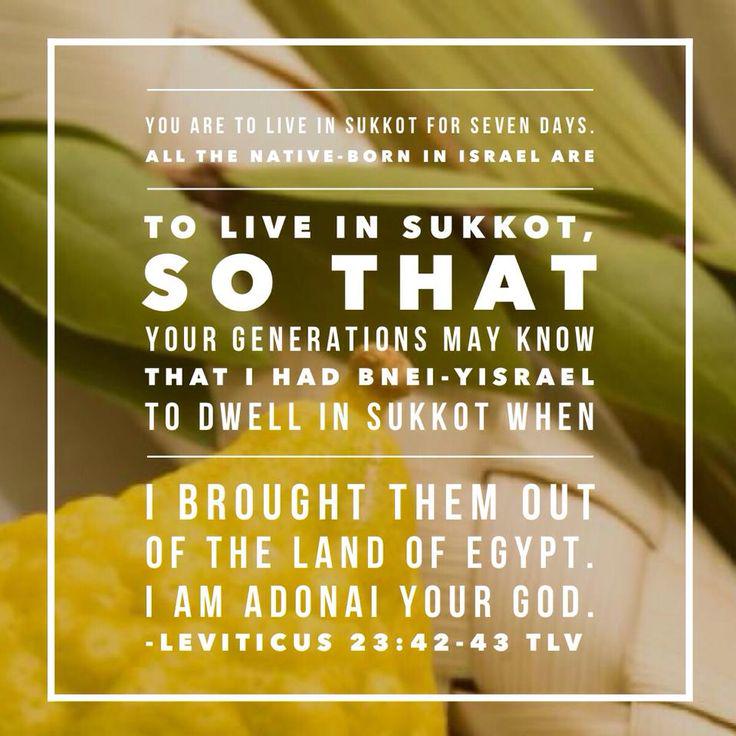 Trusting1God's tweet image. What is your favourite verse?
SHARE your #love to #God.