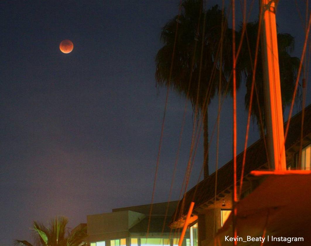GMA's tweet photo. Two more awesome photos of the #SuperBloodMoon from Seattle and San Diego! #SuperMoon http://t.co/jmiySQLKs5