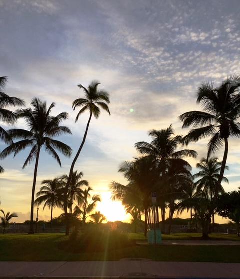 CardozoHotel's tweet photo. Happy #Monday! #SouthBeach #sunrise http://t.co/mouqaG2nwK