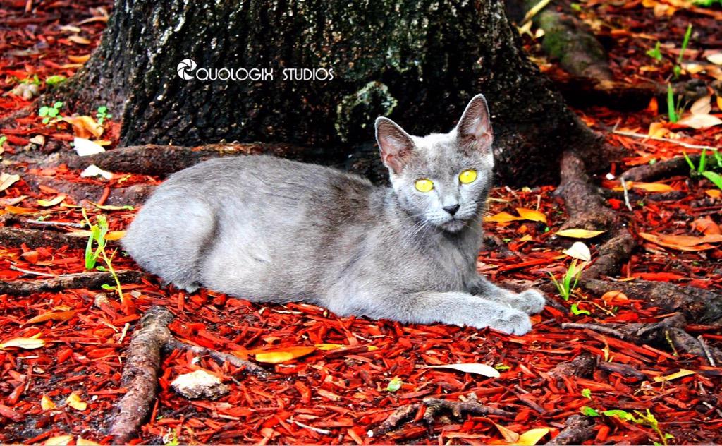 equologixstudio's tweet photo. #miami #photographer doing #photography #right #florida http://t.co/IMykBnMdtW http://t.co/onzJElPvv4