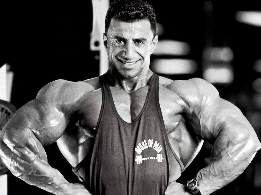 MuscularDevAus tweet picture