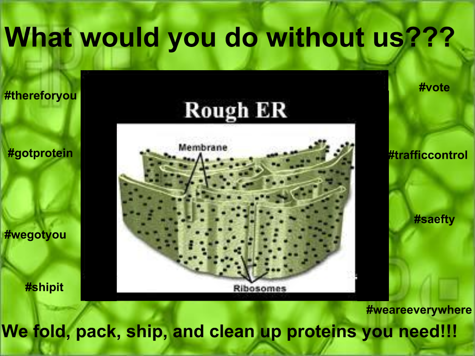 JessanyAP's tweet photo. #VOTE #ER  @murphyapbio http://t.co/lxpXKCAO4X http://t.co/CrEF8wyDTb