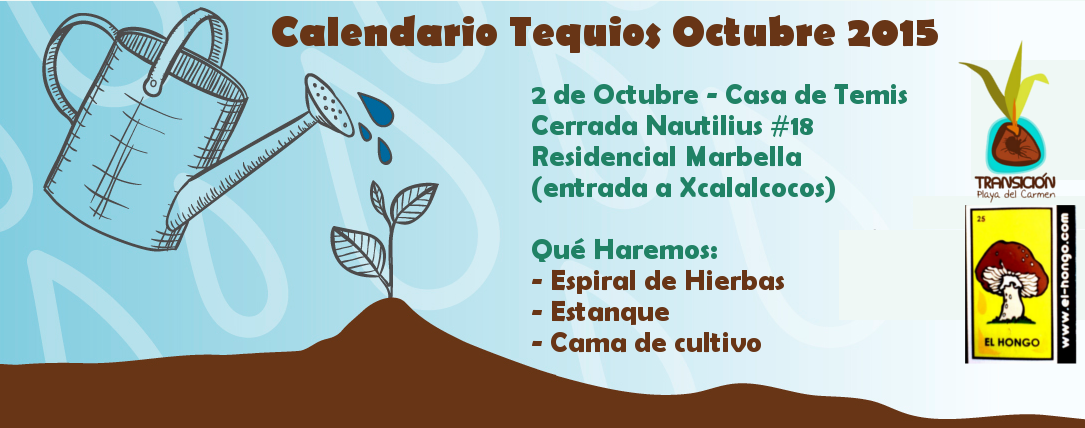 TransicionPlaya's tweet photo. Agenda @Playahit @YOAMOPLAYARADIO @el_cineclub @ElHongoPlaya @bicinetamx @ResidenteRM @CPitahaya  @MalaCabezaPDC http://t.co/AnBWbi2BTw