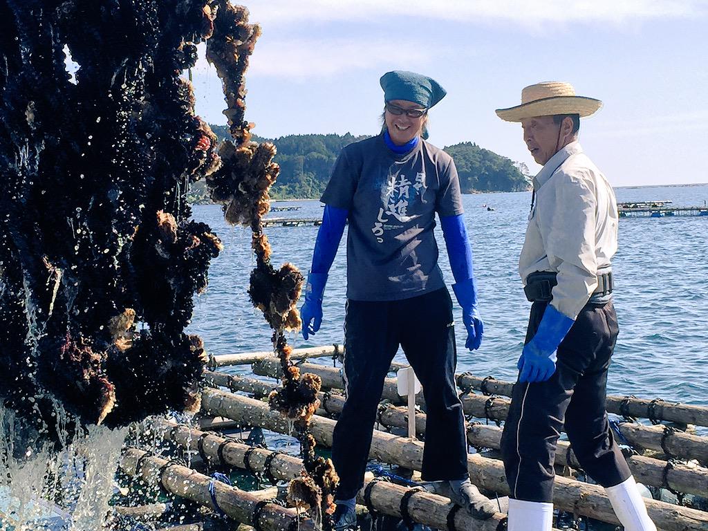 rikufilm's tweet photo. Manabu &amp; his dad say business is now almost back to pre-tsunami levels. Takes 2yrs for oysters to get to full size. http://t.co/7WJKf5mH5X