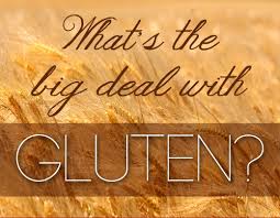 TrueGFsisters's tweet photo. What is the big deal with gluten? It acts like a glue in many people’s intestines. Learn more: http://t.co/upNLqsgXz4 http://t.co/e46mqeryw4