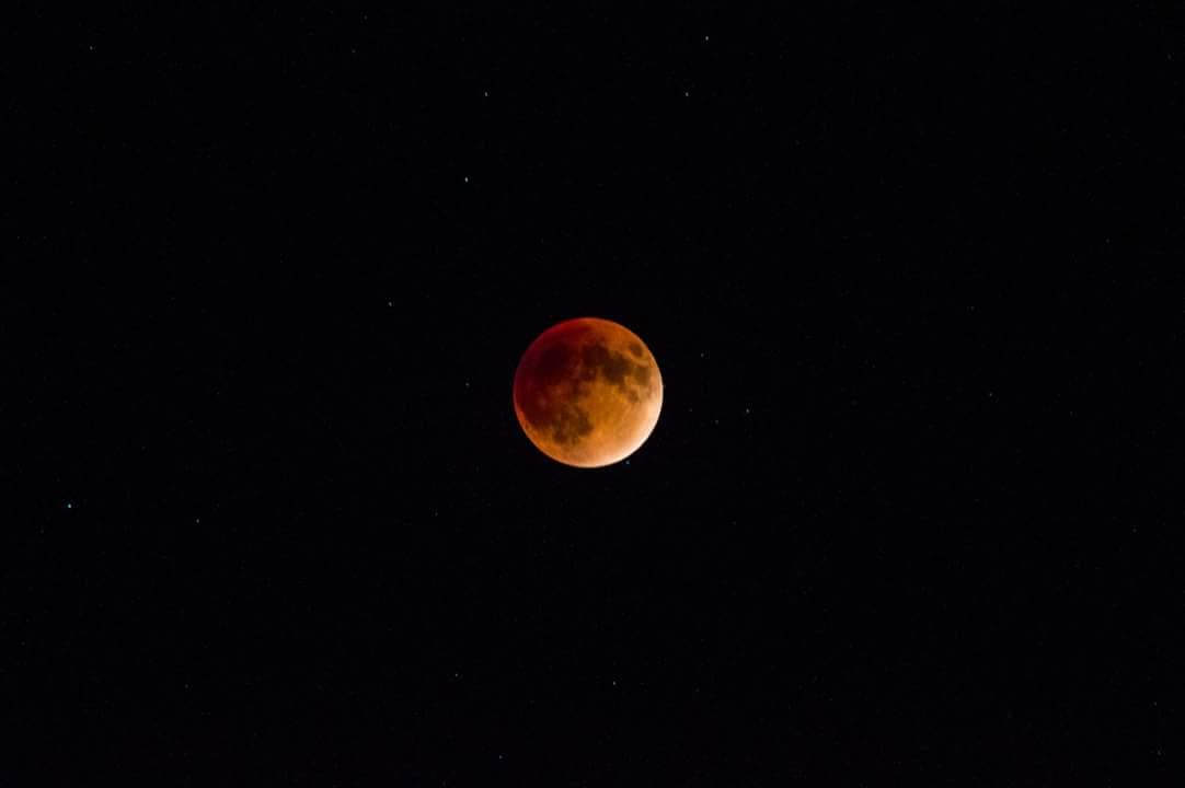 Jordan_Shrope's tweet photo. Blood moon from my point of view last night. #SuperBloodMoon #astronomy http://t.co/AdedSrNC3A