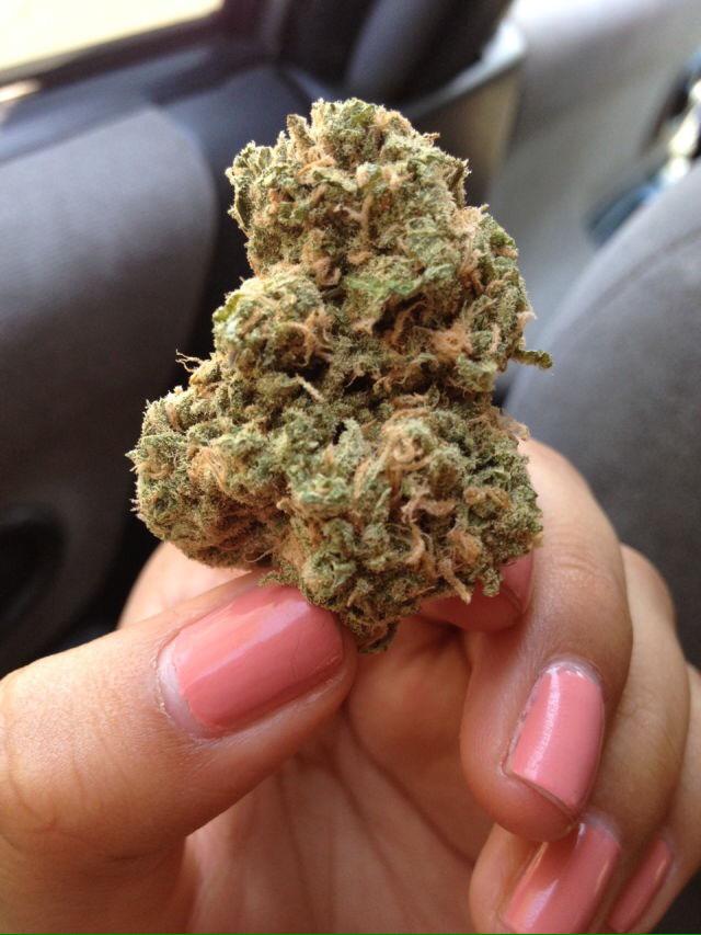 TiaMarieTrees's tweet photo. Wake and bake 🌿❤️ #Cannabis #WakeUpAmerica #PassTheTree http://t.co/7fSacJu5ql