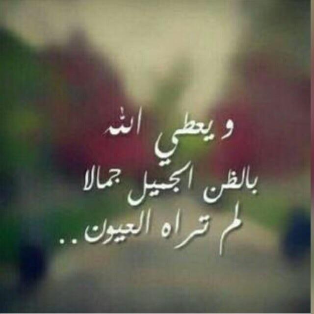 AliBrogie92's tweet photo. http://t.co/PquXHit9CJ