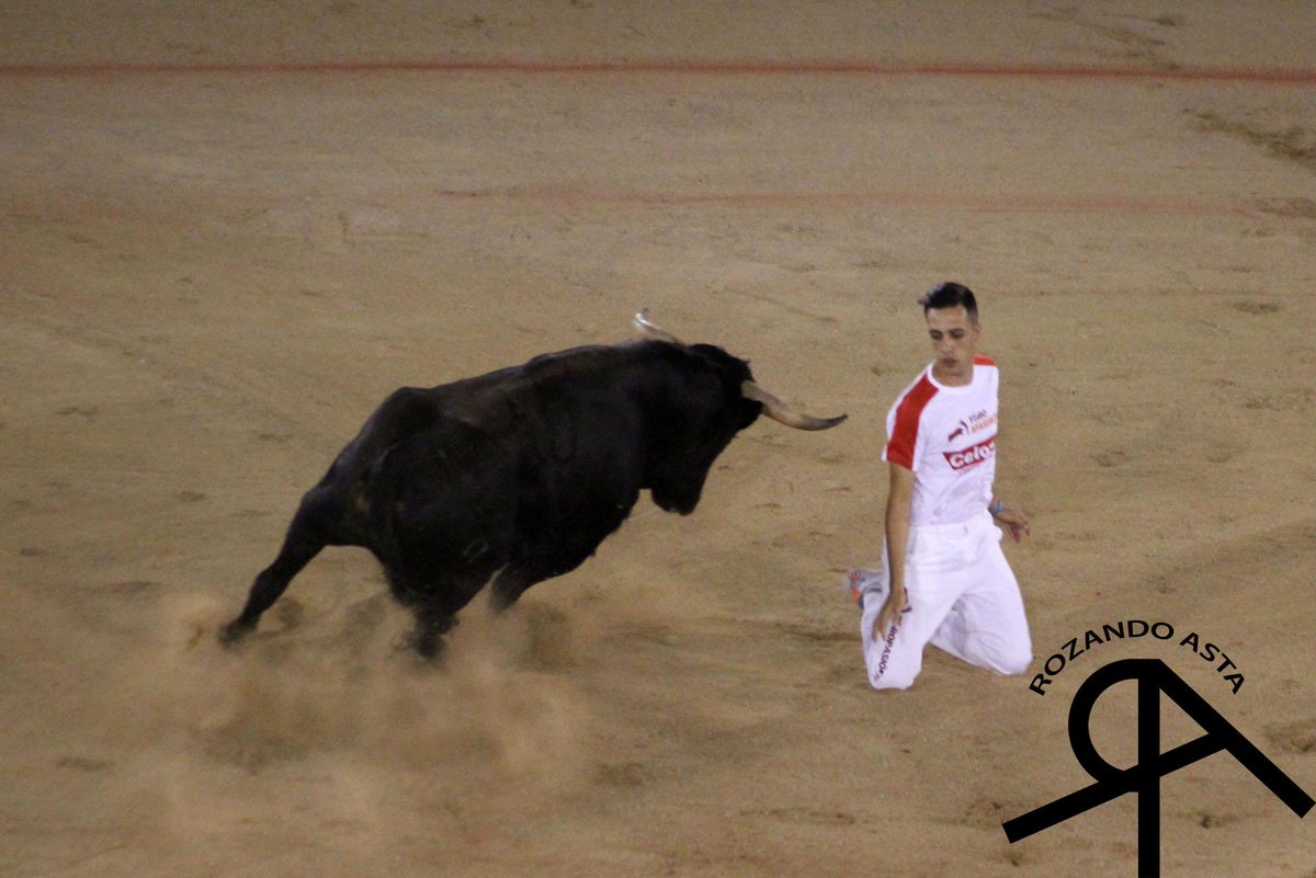 Rozandoasta's tweet photo. Fotografías del concurso de recortes del día 11 de Septiembre en Guadalajara 
http://t.co/4ZY6hC1pZE http://t.co/c355oFPDNN