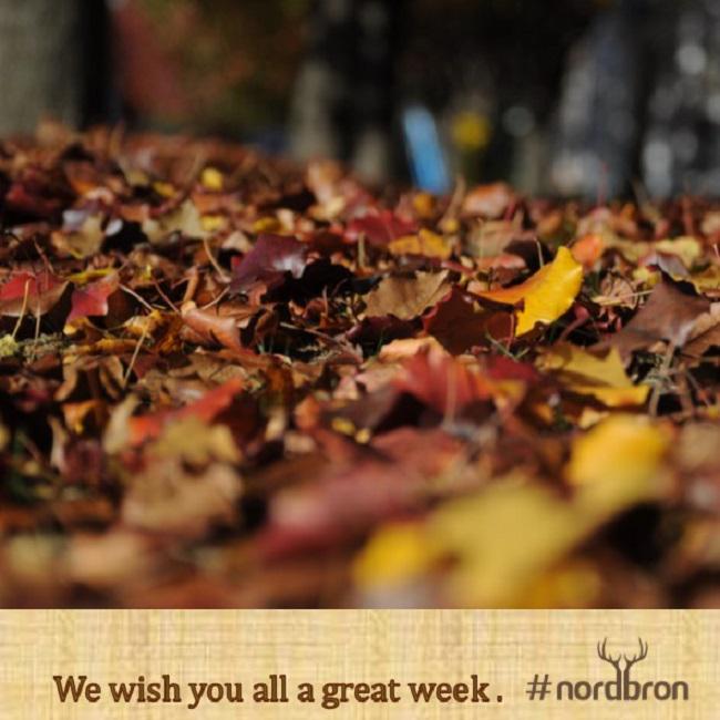 Nordbron's tweet photo. Have a great week. #nordbron #great http://t.co/6z3e1MhYZR
