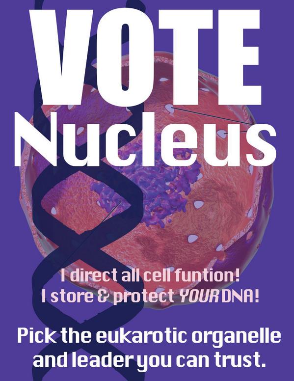 APBIO5's tweet photo. @murphyapbio #murphpak http://t.co/6wCjIM6hn8