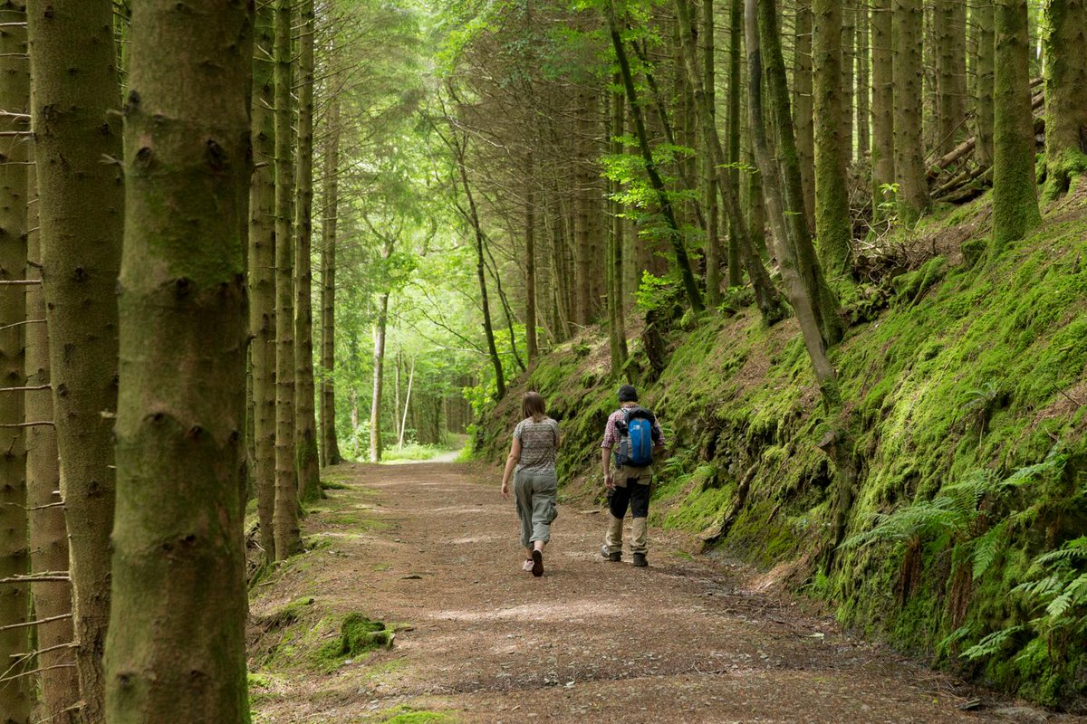 visitceredigion's tweet photo. Gyda mwy o dywydd sych a braf i ddod yr wythnos hon, beth am grwydro #Ceredigion? #cerdded #beicio #merlota http://t.co/uUNhME5jXX