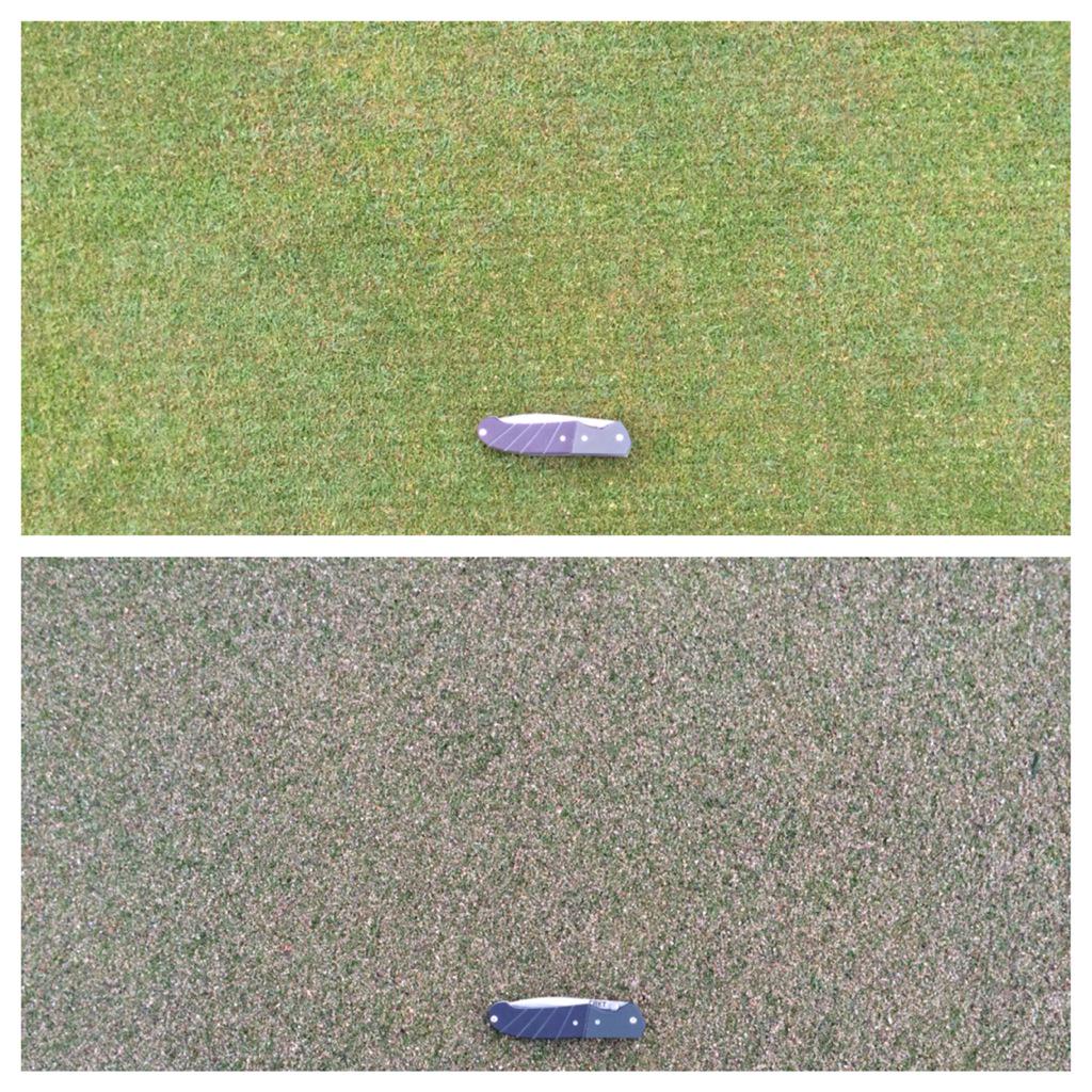 GLCCTurf's tweet photo. Nice generous sand topdressing following the two direction verti-cut to "grout the tile". #GLCC #FastNFirm #SandMan http://t.co/ClSrGtH5Jz