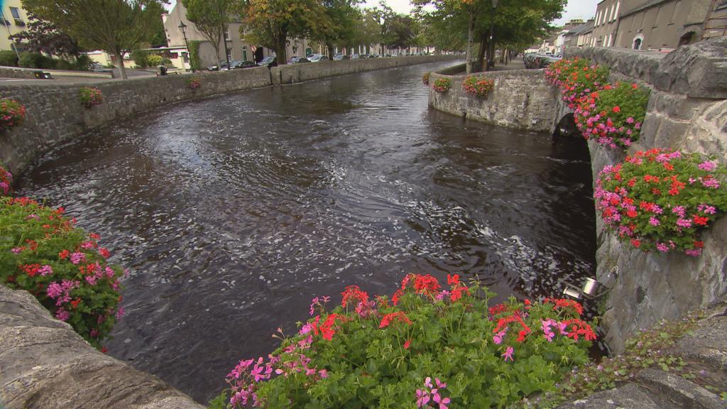 Be Celtic (@pevully) on Twitter photo Meet the 2015 winners in the <a href="/TidyTownsIre/">Supervalu TidyTowns Competition</a> Comp on <a href="/RTENationwide/">RTĂ Nationwide</a> tonight <a href="/RTEOne/">RTĂ One</a> 7pm <a href="/alankellylabour/">Alan Kelly TD</a> Meet the 2015 winners in the <a href="/TidyTownsIre/">Supervalu TidyTowns Competition</a> Comp on <a href="/RTENationwide/">RTĂ Nationwide</a> tonight <a href="/RTEOne/">RTĂ One</a> 7pm <a href="/alankellylabour/">Alan Kelly TD</a>