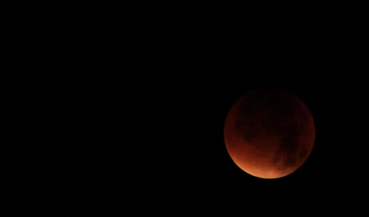 SJansky_Photo's tweet photo. Lets talk #LunarEclipse! Who else caught the show this morning? http://t.co/xUAFM49e2J