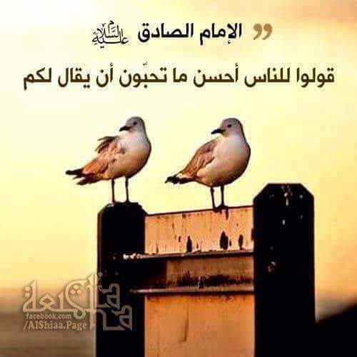 عاشقة الحسين(ع) (@on669) on Twitter photo 
