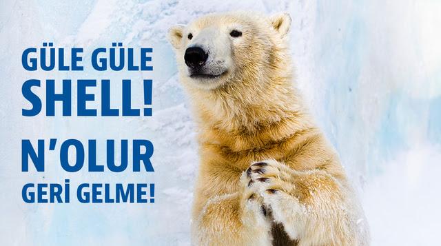 cortadomain's tweet photo. shell, kuzey kutbu'ndaki sondaj programına son vermiş. kıps @Greenpeace_Med #GüleGüleShell #GoodByeShell http://t.co/FgFBVMxMGw