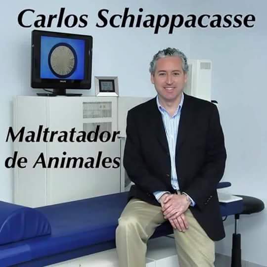 fl_nandolopez's tweet photo. http://t.co/GyOI5dcgtk