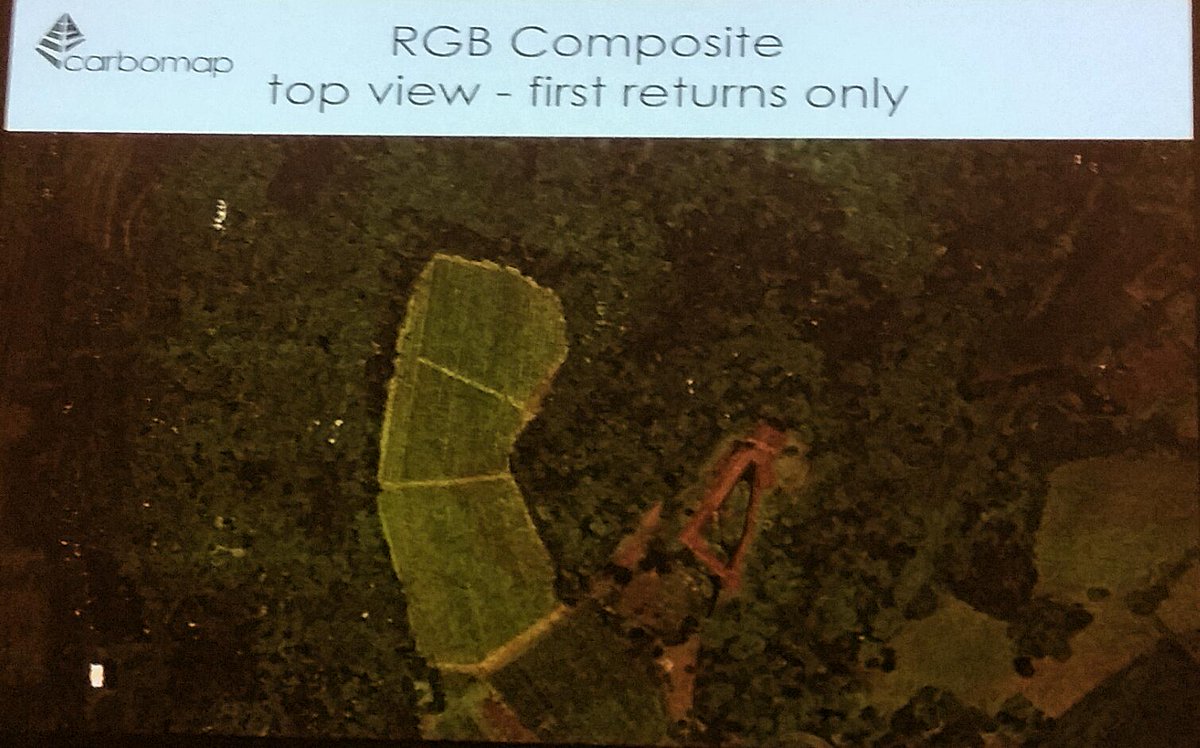 rapidlasso's tweet photo. Antoine of @Carbomap explains #PulseWaves details and shows multispectral #LiDAR at #SilviLaser during @ISPRS_GW15 http://t.co/lv2uQKjB9M