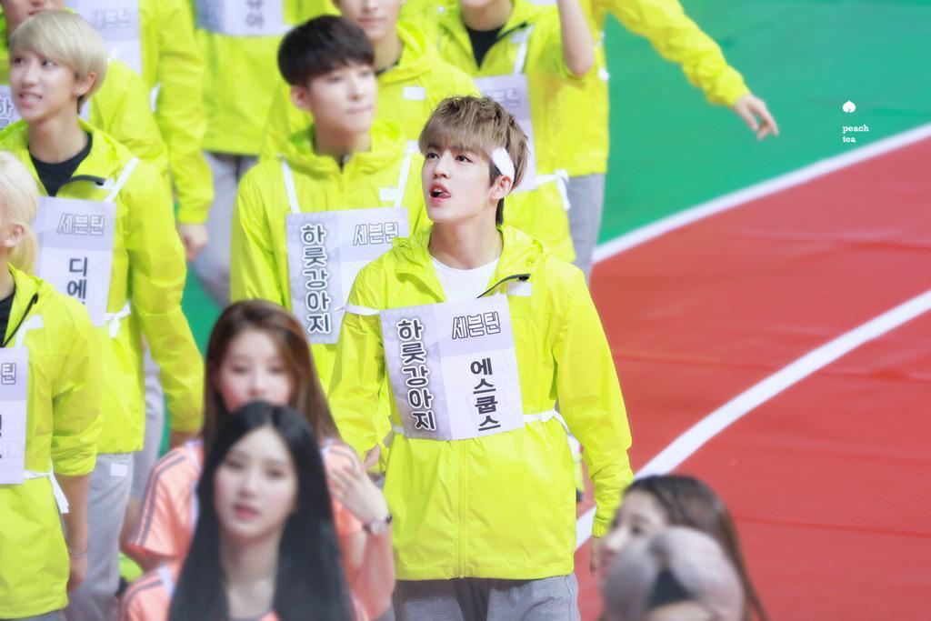 scoups_sg's tweet photo. [HD] 150810 scoups @ ISAC 
https://t.co/gn3fEtmd0A

© peachtea_88 http://t.co/HweB8A6MJn