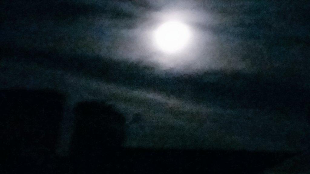 SRFansUK's tweet photo. @JDT19 @sylvainreynard @RandomCran @MJLocklear @SerendipitousMC @Iris_Elli @SRFansOz @Florseriespcast #fluffymoon http://t.co/dmPbX3zd1e