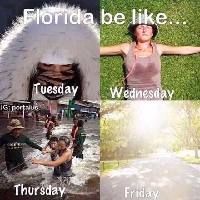 Things4FLppl's tweet photo. Welcome to Florida http://t.co/4242zSq9iZ