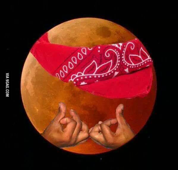WhiteIndianGreg's tweet photo. took a sweet picture of the blood moon last night http://t.co/BchMIG5nUI