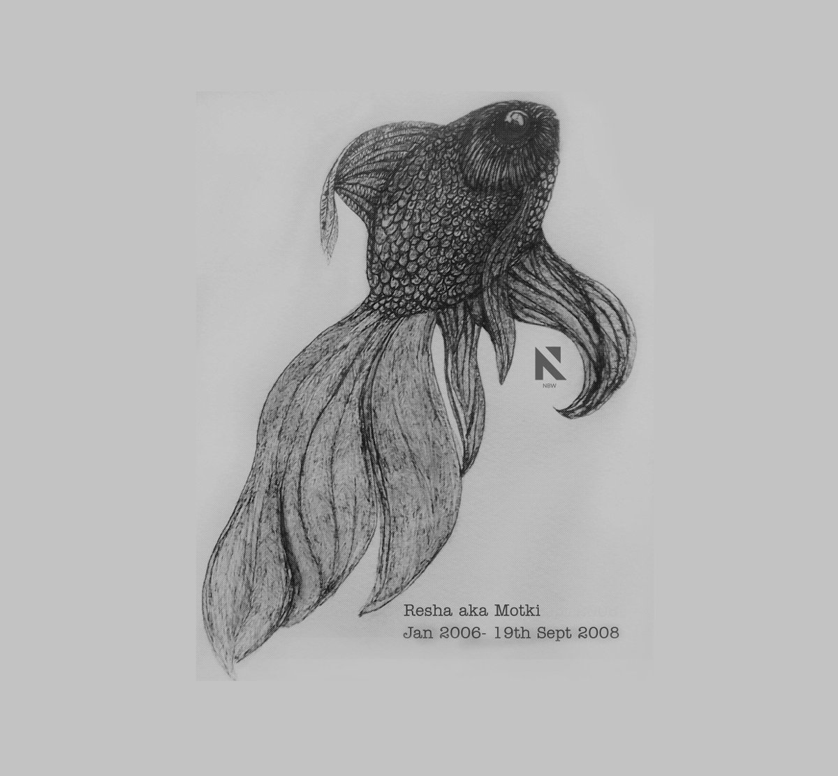 TwentyFour_N's tweet photo. Remembering Resha.
Jan 2006- 19th Sept 2008.
#love #soulmate #pet #blackmoor #fish #tributetofriend #oldfriend http://t.co/m5BBQVukxF