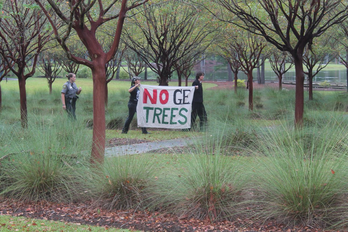 STOPGETREES's tweet photo. COMING SOON: News from this morning's #NOGETREES action at Arborgen HQ in S Carolina. Stay Tuned! @DogwoodAlliance http://t.co/nVuLWEQEFg