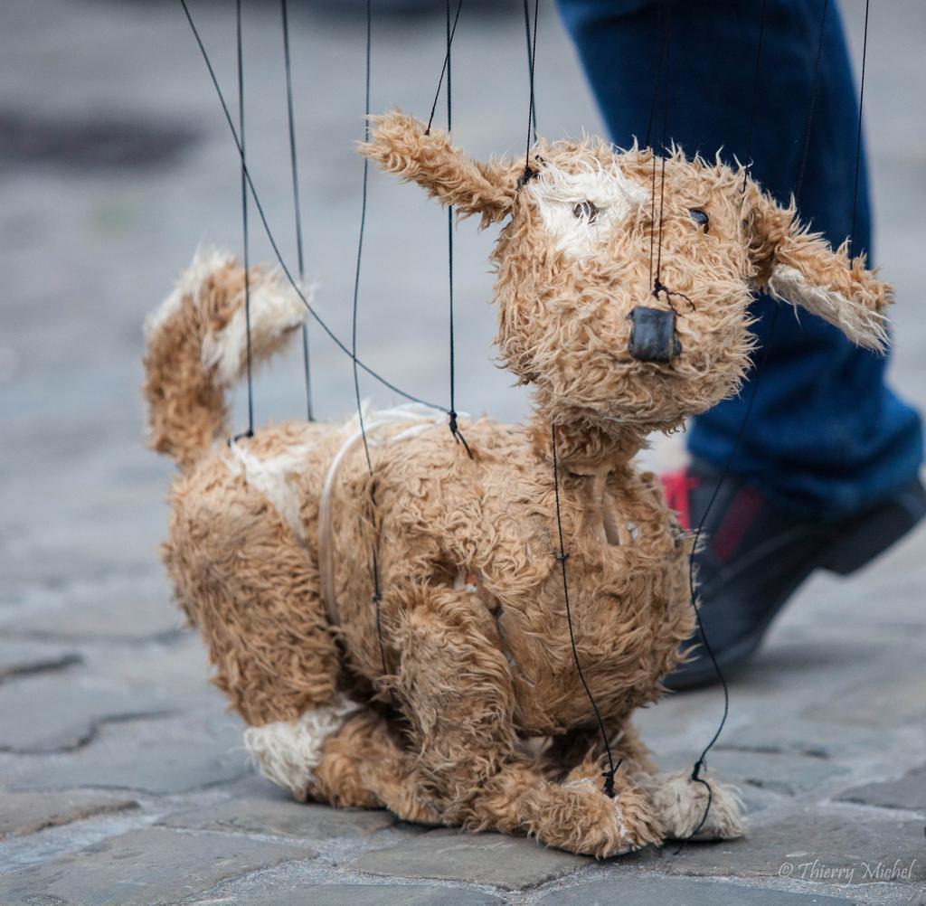 thierrymic's tweet photo. @festivalpuppet #puppets #puppet #marionnette #charlevillemezieres #fmtm #fmtm15 #fmtm2015 http://t.co/ZG1c3Y5qSk